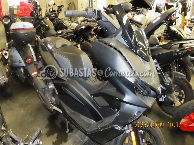 Salvamento Victory Black - 2023 - 99G - Guarne